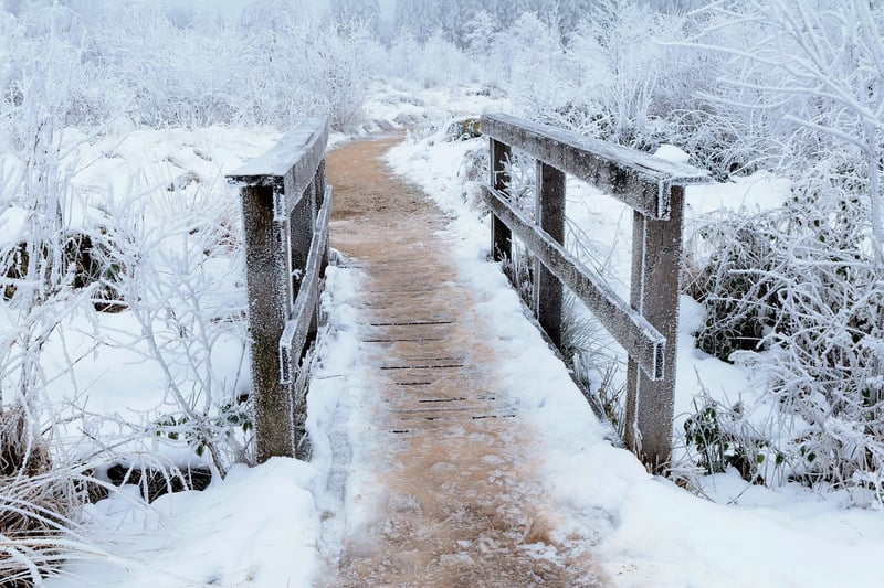 Starlight Pathways
