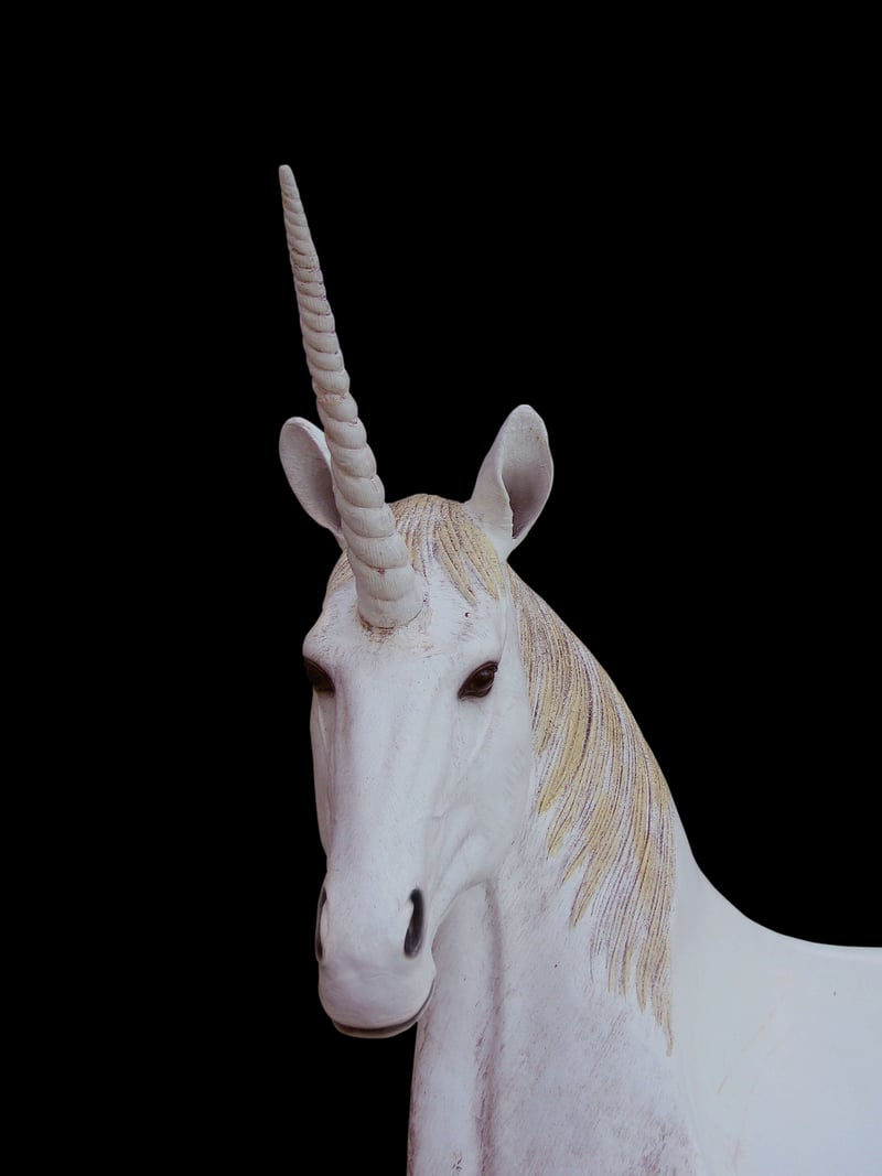 Unicorn Paradise